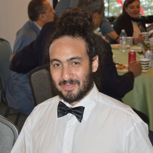 Mahmoud Y. Elhalawany