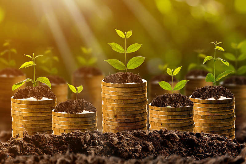 Normal 1634923621 How To Invest