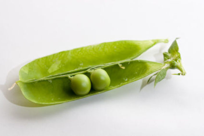 Why Investors need Realtors and Vice Versa realtors and real estate investors are like two peas in a pod