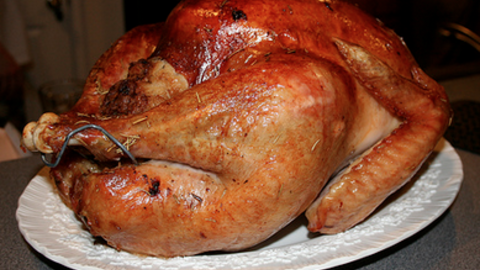 Are you a “Turkey Investor”? Turkey