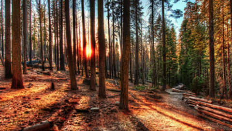 The Five Pathways to Real Estate Investing Success Path