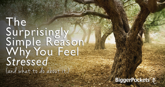 The Surprisingly Simple Reason Why You Feel Stressed
