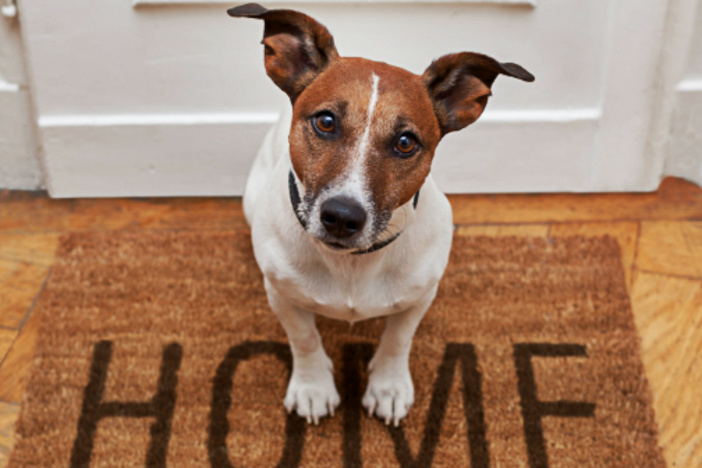 The Top 7 Upgrades Tenants Seek When Searching for a Rental rental-upgrades